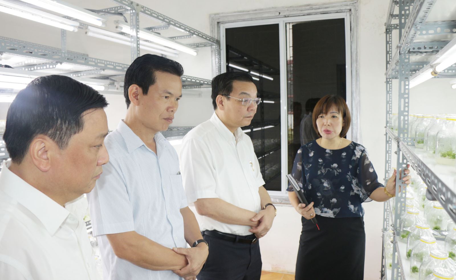 Bí thư Tỉnh ủy Triệu Tài Vinh, Bộ trưởng Bộ KH&CN Chu Ngọc Anh thăm phòng nuôi cấy mô sản xuất các loại giống cây lâm nghiệp, dược liệu của Công ty Cổ phần Nông lâm nghiệp và Môi trường tại huyện Vị Xuyên.
