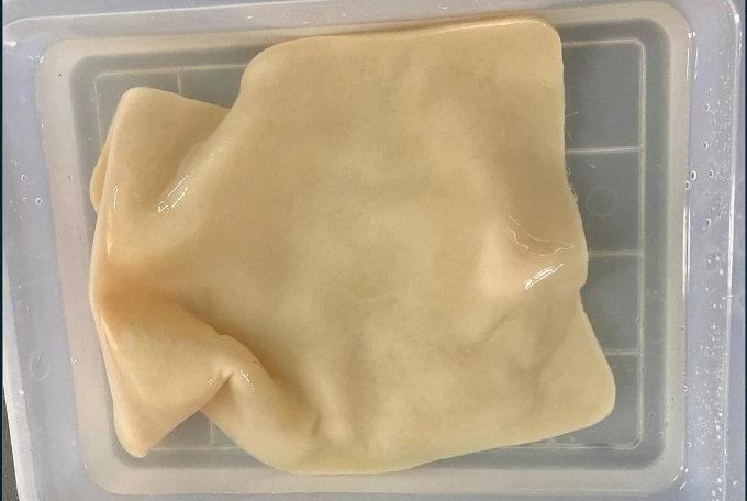 Màng BC lên men từ bùn giấy sau tiền xử lý. Ảnh: Nhóm nghiên cứu