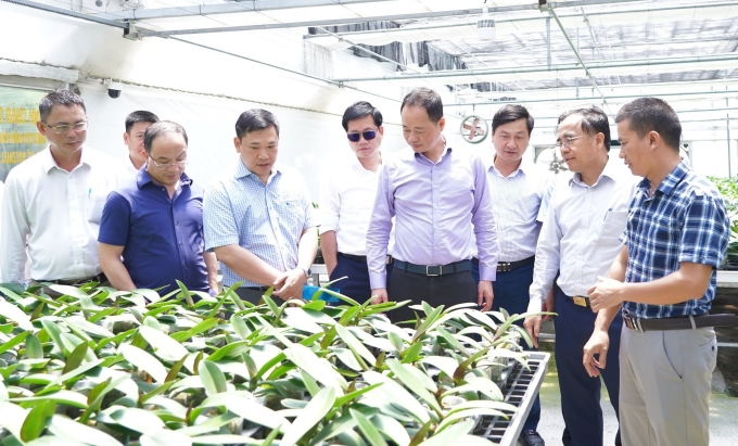 Thứ trưởng Trần Hồng Thái cùng đoàn công tác tham quan mô hình nông nghiệp công nghệ cao sản xuất Lan Hồ điệp tại xã Thạch Khê, huyện Thạch Hà ngày 28/6. Ảnh:TTTT