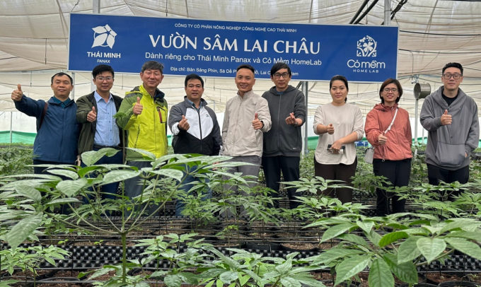 Tiến sĩ Tùng (đứng vị trí nào) và nhóm nghiên cứu tại vườn Sâm hữu cơ Thái Minh Farm tại Sìn Hồ, Lai Châu