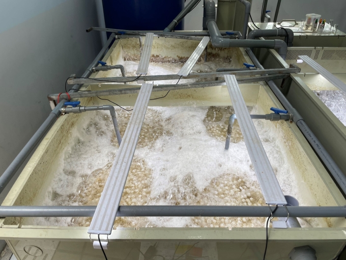 Hệ thống tuần hoàn nước giúp người nuôi kiểm soát môi trường khi nuôi thủy sản trong hộp. Ảnh: Hà An