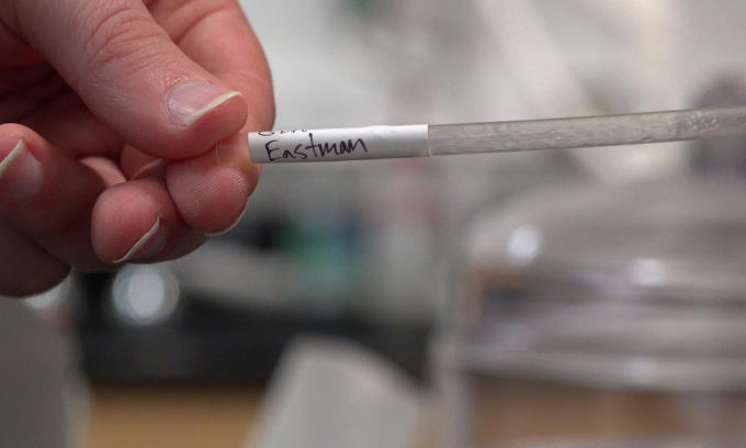 Mẫu ống hút thử nghiệm do Eastman chế tạo từ CDA dạng xốp để kiểm tra khả năng phân hủy sinh học. Ảnh: WHOI