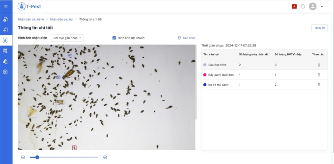 Hình ảnh côn trùng được thu thập từ máy T-Pest. Ảnh chụp màn hình
