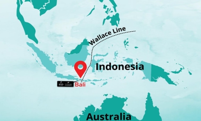 Đường Wallace chạy qua Indonesia. Ảnh: Finns Beach Club
