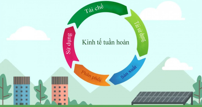 Vòng sản phẩm kinh tế tuần hoàn.